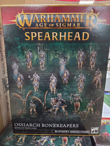 Ossiarch Bonereapers - Kavalos Vanguard