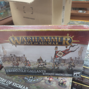 Cities of Sigmar Freeguild Gallants