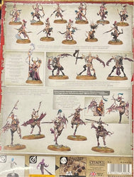 Vanguard Hedonites Of Slaanesh