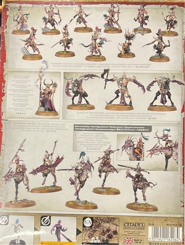 Vanguard Hedonites Of Slaanesh