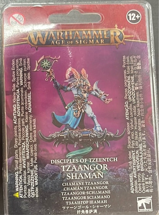 Disciples Of Tzeentch Tzaangor Shaman